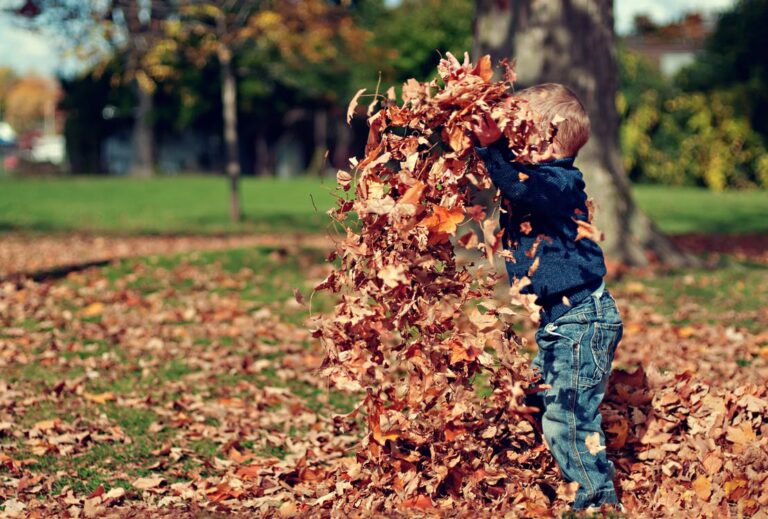 Don’t Hurt Your Back Raking Leaves this Fall