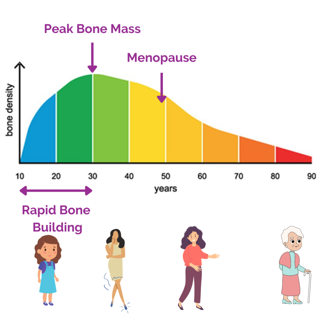Peak Bone Mass